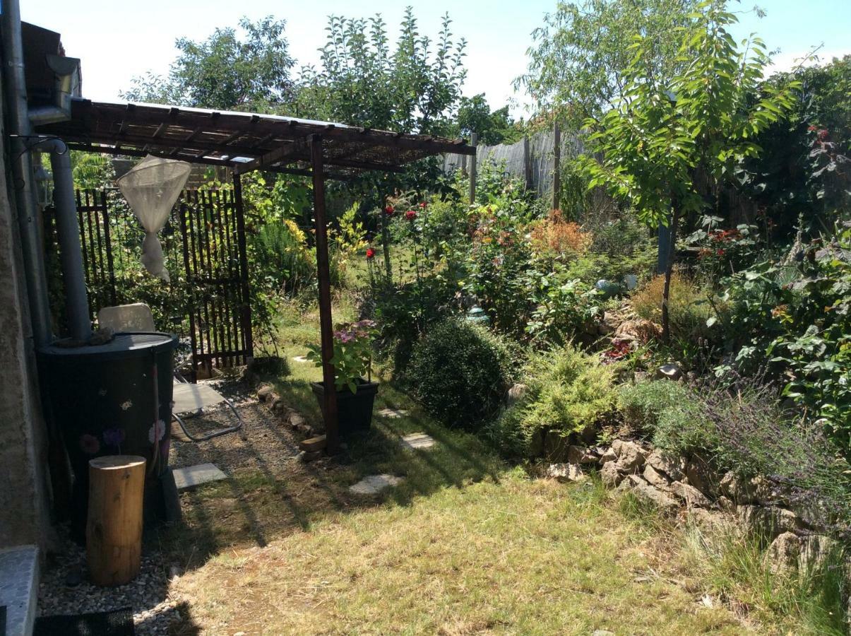 Gite Le Faucon Pelerin Scherwiller Exterior photo