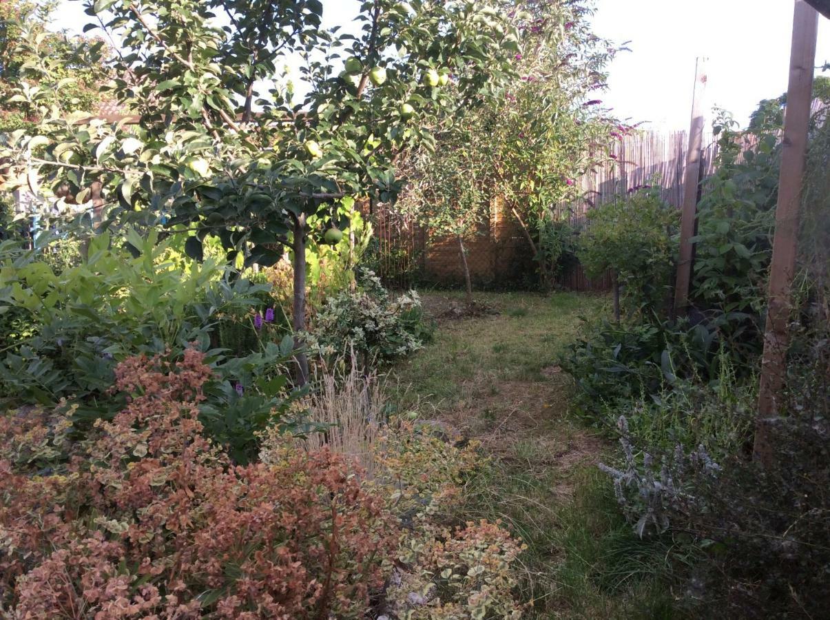 Gite Le Faucon Pelerin Scherwiller Exterior photo